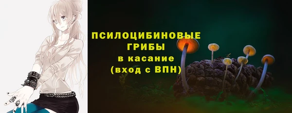спиды Алексин