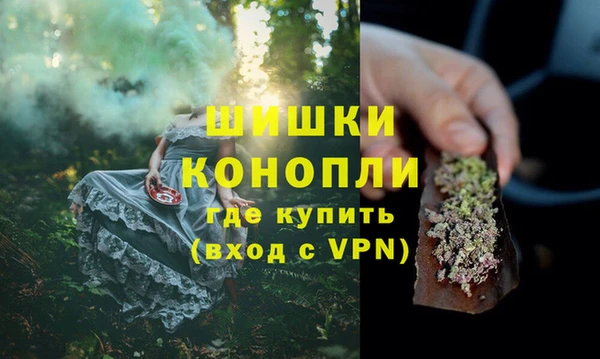 дмт Алзамай