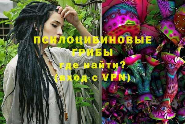дмт Алзамай