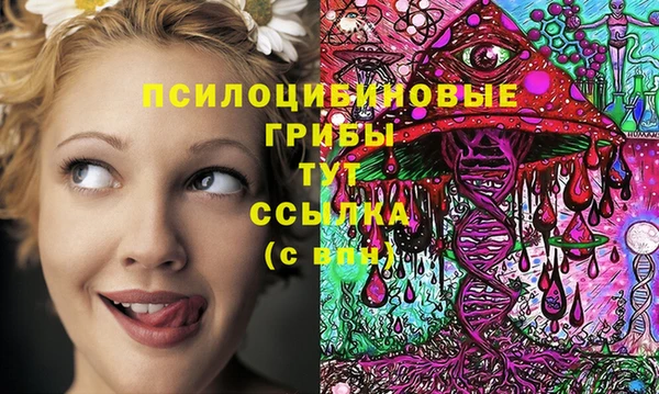 дмт Алзамай