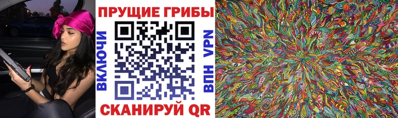 Псилоцибиновые грибы Psilocybine cubensis Жуковка